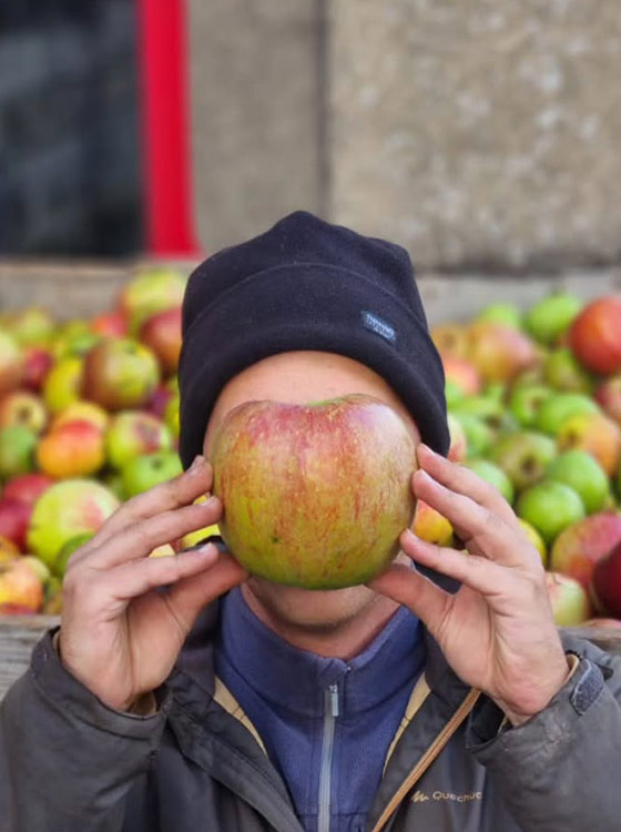Cidrerie du Reillon Grégoire Jacquot